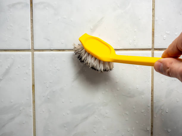 Best Mold Testing  in Mechanicstown, NY