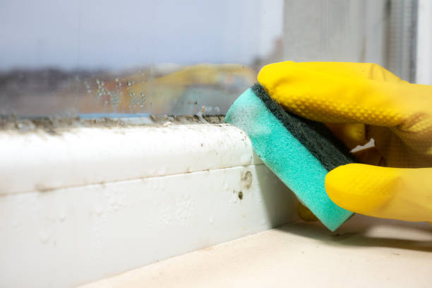 Best Mold Cleaning Services  in Mechanicstown, NY