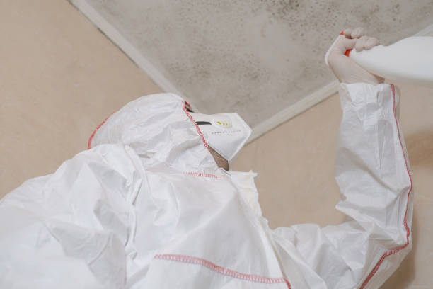 Best Mold Damage Repair  in Mechanicstown, NY