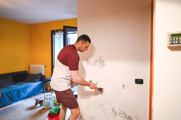 Best Professional Mold Removal  in Mechanicstown, NY