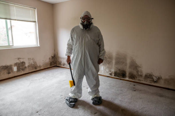 Best Office Mold Removal Services  in Mechanicstown, NY